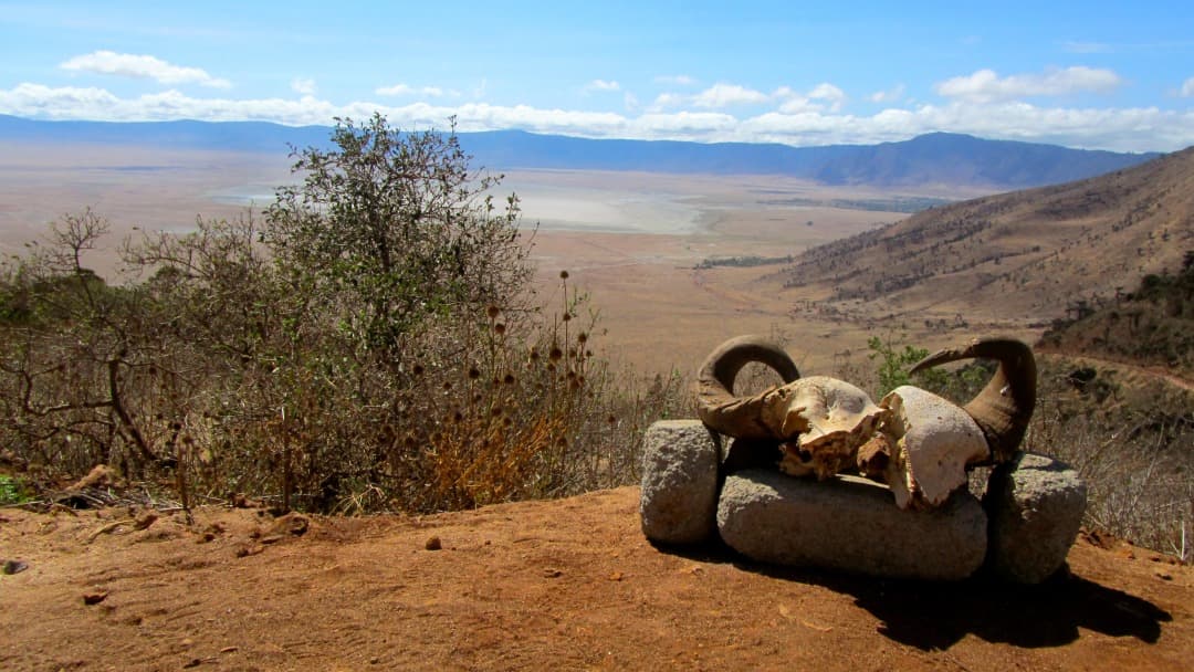Aire de Conservation du Ngorongoro