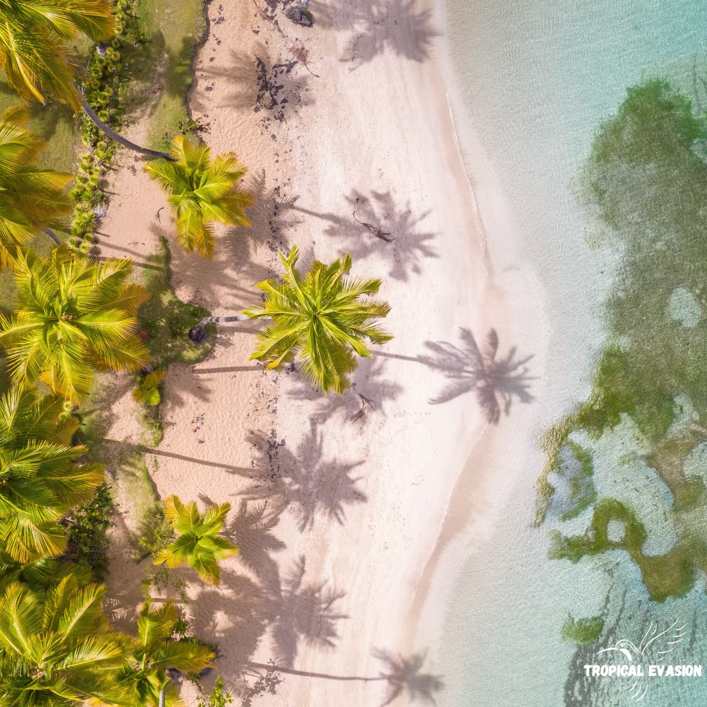 Bayahibe en douceur : 8 jours entre mer, nature & culture locale
